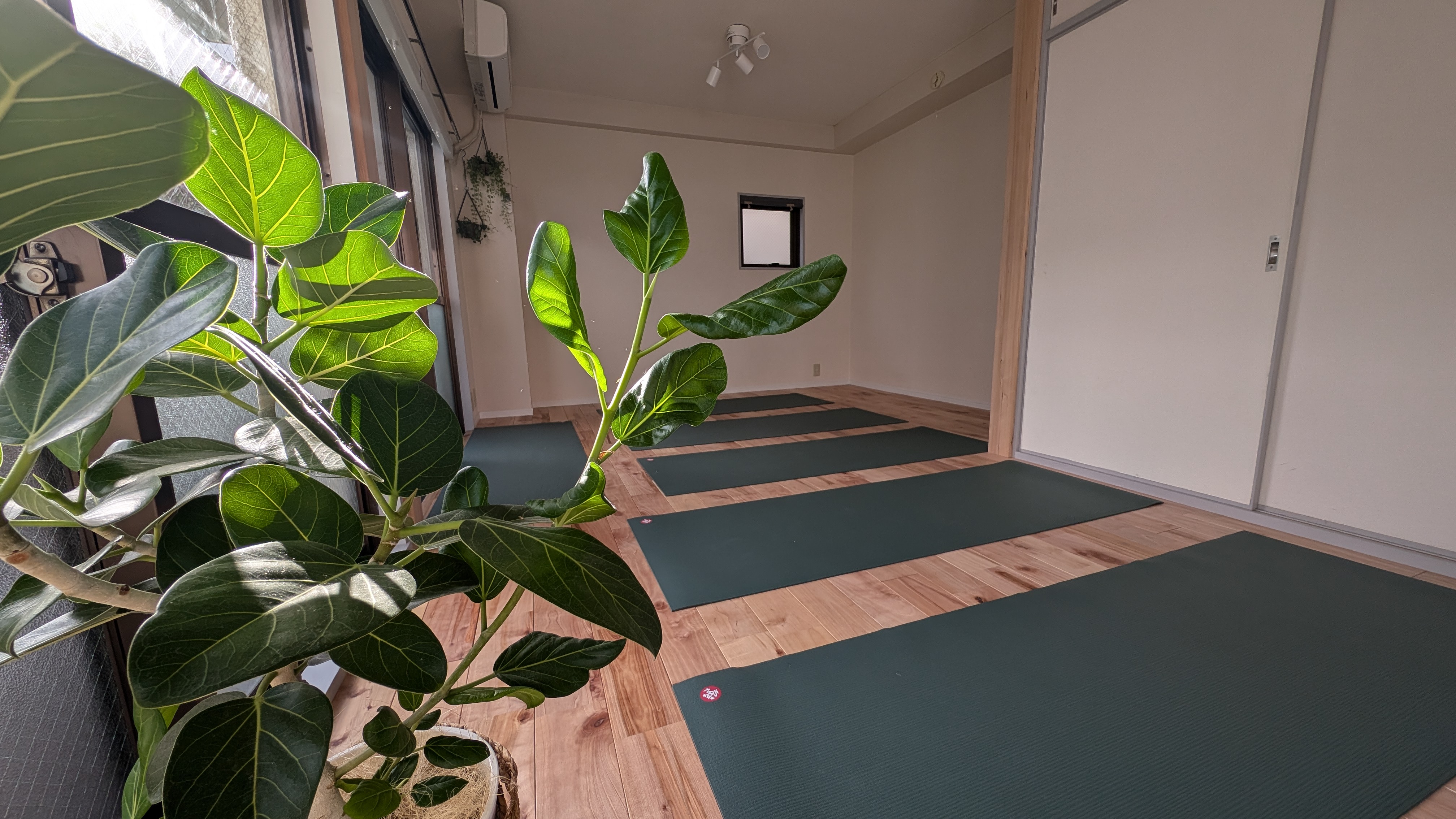 Wellness Hub TOKYO